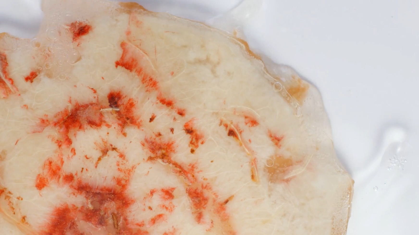 广州饮食类宣传片