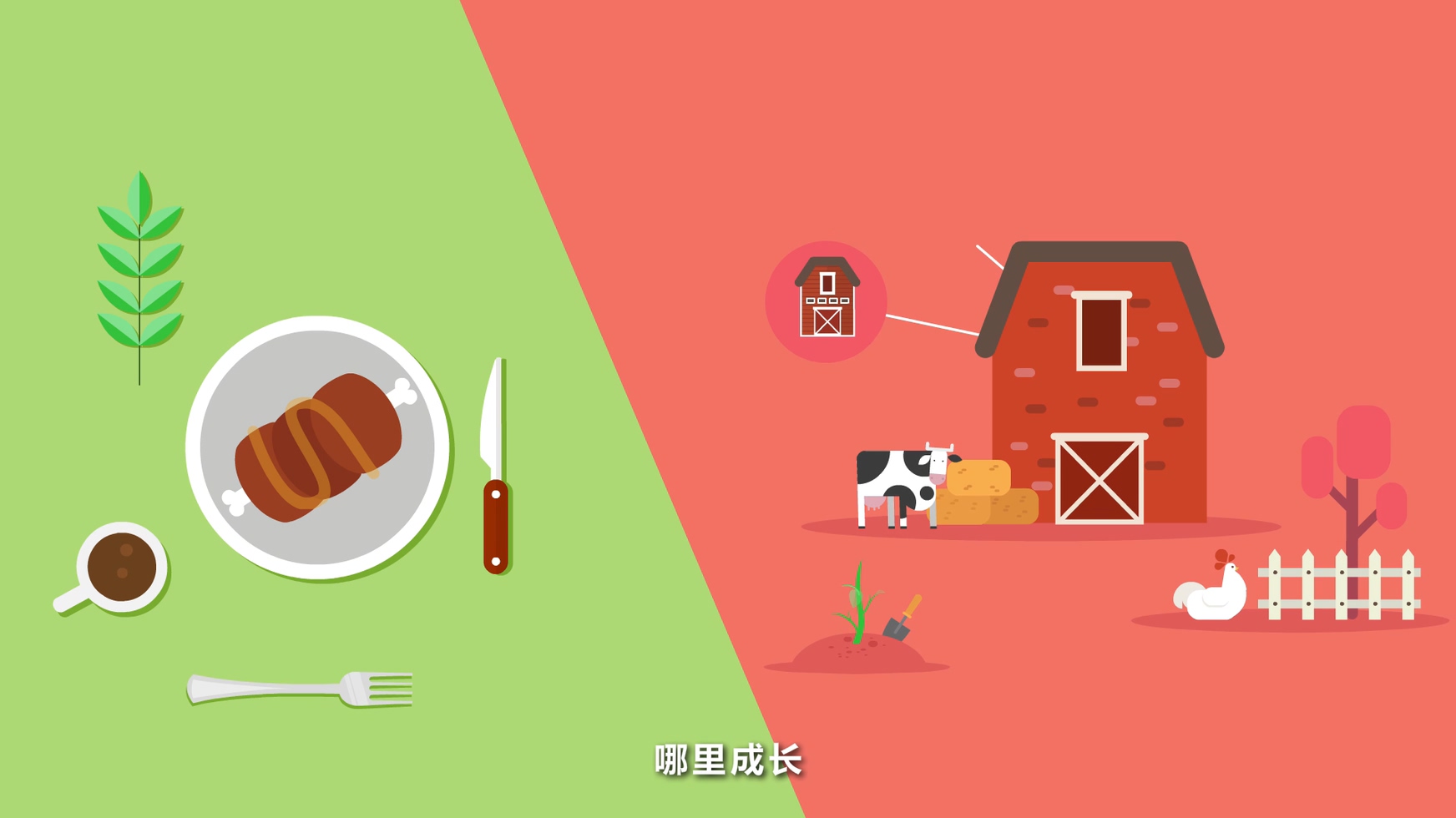 MG动画