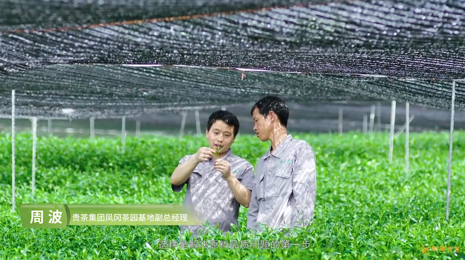 黄埔区企业形象宣传片