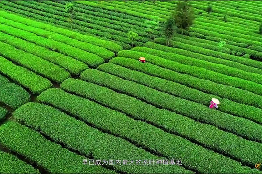 品牌宣传片重点在于品牌，广州宣传片制作